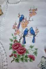 Blue birds
