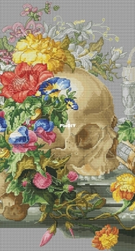 Skull in Flower 2 by Alisa Okneas