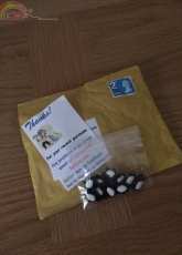 Penguin Buttons