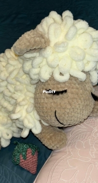 Cutest Baby Sheep!!