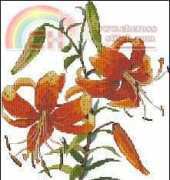 Janlynn 023-0437 Tiger Lily
