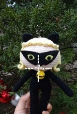 Miraculous Cat Noir