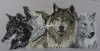 Janlynn (Pegasus Originals) 120-10 The Pack (Wolves) PCS