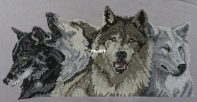 Janlynn (Pegasus Originals) 120-10 The Pack (Wolves) PCS