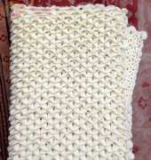 crocodile blanket