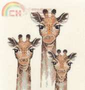 Heritage WHOU690 Animal Wonders - Onward and Upward