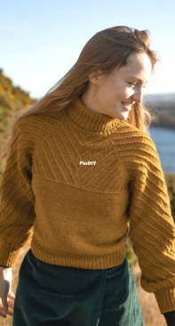 Dryad Sweater (Top Down) by Lauriane Bernard  - Caledonia Dreamin - English, French