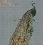 Artecy - Peacock 2