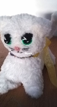 Little Knitted Cat