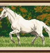 Megat 4077 - In trot