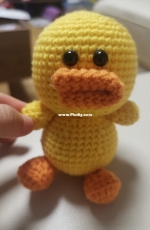 little cute duck