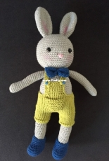 little rabbit
