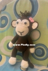 the monkey