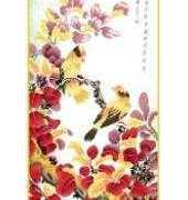 DMC 0844KL - Autumn, Winter, Summer PCS