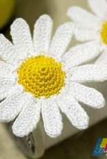 Happy Patty Crochet - Mini Daisy - Free