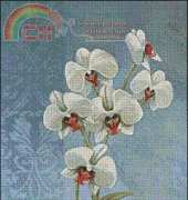 I Love Cross Stitch CK-003Orchids  xsd