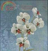 I Love Cross Stitch CK-003Orchids  xsd