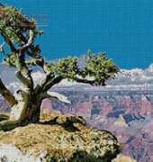 Artecy Cross Stitch - Canyon