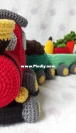 The train