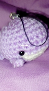whale