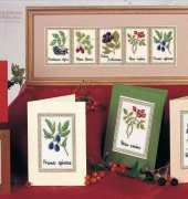 Creative Crafts - Natures Harvest - Mary Hickmotts New Stitches, U.K.