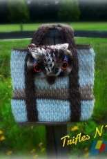 Trifles n Treasures - Tera Kulling - Majestic Owl Diaper Bag
