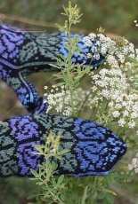 Bluebells Mittens by Natalia Moreva -Free