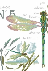 Oiseaux,papillons & petites betes au point de croix - Veronique Enginger xsd