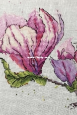 Watercolor magnolia