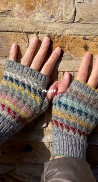 Sampler Mitts by Jane Higginbottom-Free