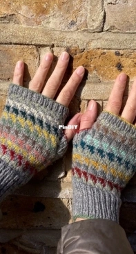 Sampler Mitts by Jane Higginbottom-Free