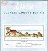 Anchor JR702 - Follow Me
