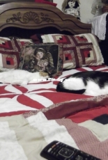 No room for me