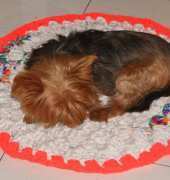 carpet trapillo