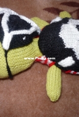 Pirat turtle