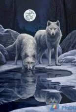 HAED HAELIP 21364 Hunters Moon by Lisa Parker