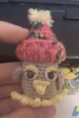 Little owl in hat