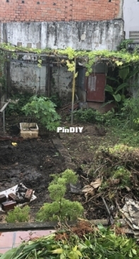 How did I build a garden all by myself - 2