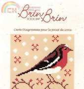 Brin par Brin - Oiseaux de nos Jardin n°3