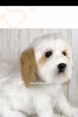 Ambercraftstore - Tatjana Ozolina - Shichon Dog