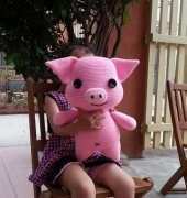 my pig
