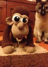 Silly monkey