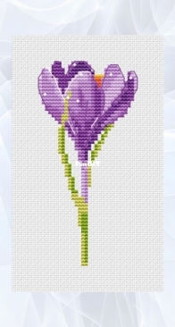 Crocus by Dasha Benzeva