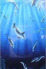 HAED HAESS 015 Sunken Treasure by Schim Schimmel