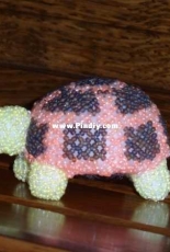 turtles
