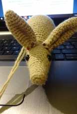 Aardvark by Planet June
