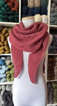 Ferlangen Shawl by Catherine Côté for  Espace Trico- English, French - Free