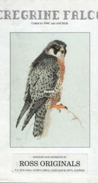 Peregrine Falcon by Graeme Ross from Ross Originals PCS