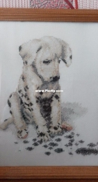 Dalmatian