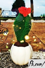 Amigurumi Cactus mini 12
